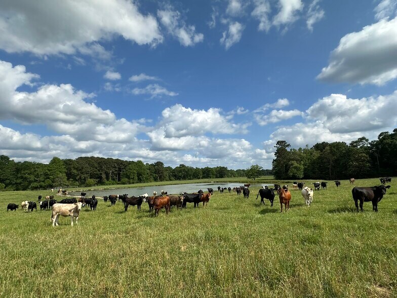 More Photos Of Millside Road, Laurel Hill Land For Sale