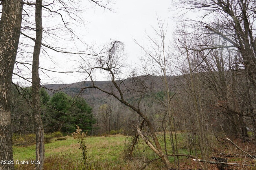 More Photos Of Mt Eden Estates Rd, Lexington Land For Sale