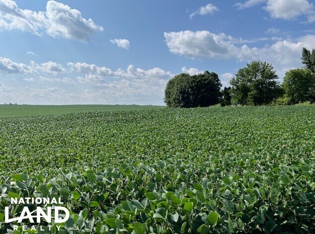 More Photos Of 820 Johnson Ave SW, Cokato Land For Sale