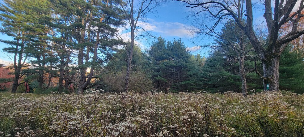 More Photos Of 1195 State Route 17B, Bethel Land For Sale