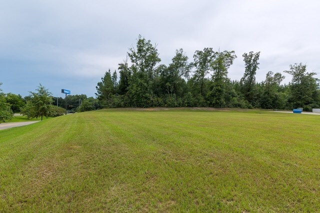 More Photos Of 1991 Martin Luther King, Jr Expy, Andalusia Land For Sale