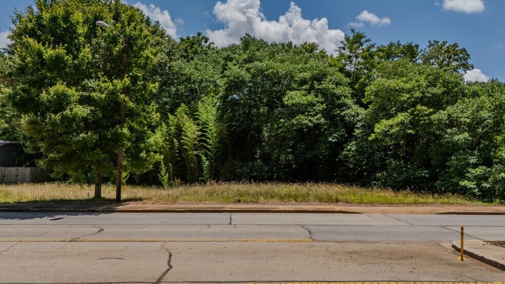 More Photos Of 542 Rutherford Rd, Greenville Land For Sale