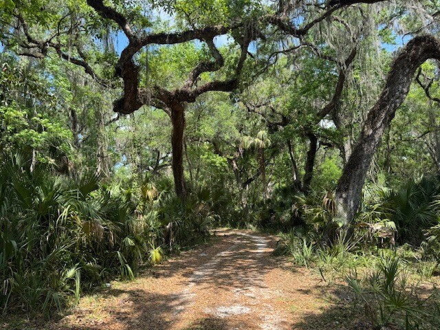More Photos Of 2992 N Country Road 470, Lake Panasoffkee Land For Sale