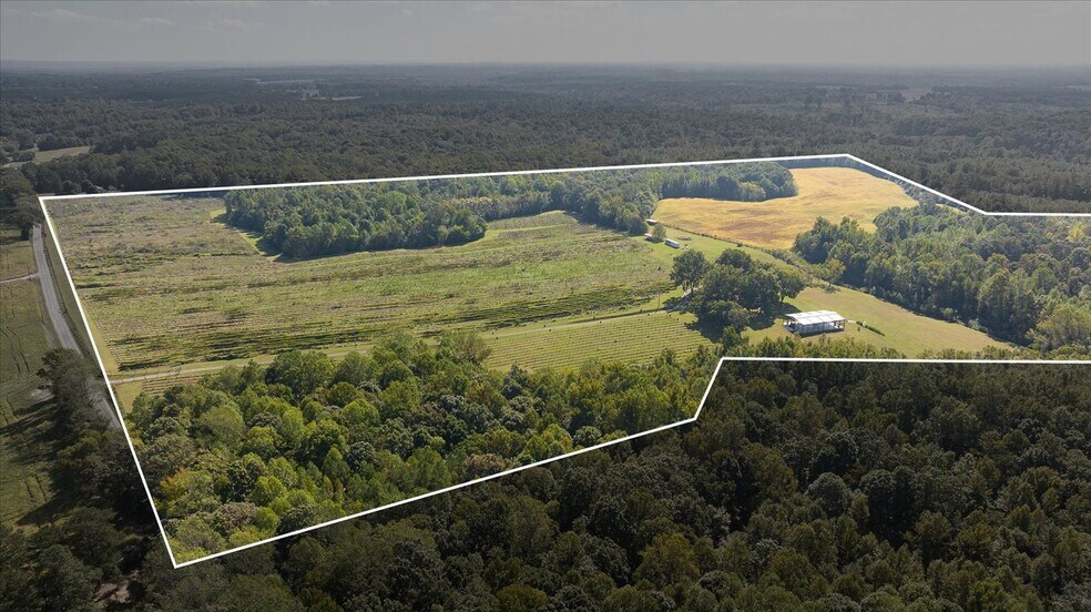 More Photos Of 667 Hustle Rd, Hustle Winery Vineyard For Sale