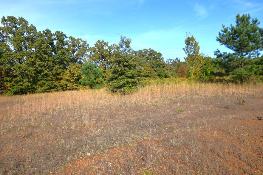 Primary Photo Of 1312 Caddo st, Muldrow Land For Sale