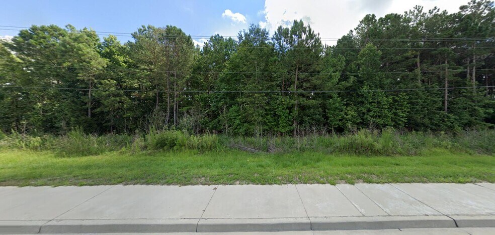 More Photos Of 0 State Highway 51, Pamplico Land For Sale