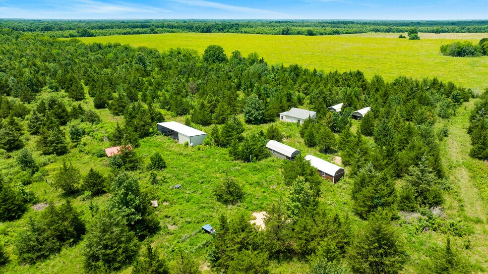 More Photos Of 449 County Road 1357, Clarksville Land For Sale