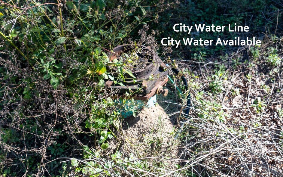 More Photos Of TBD Miller Street SE, Live Oak Land For Sale