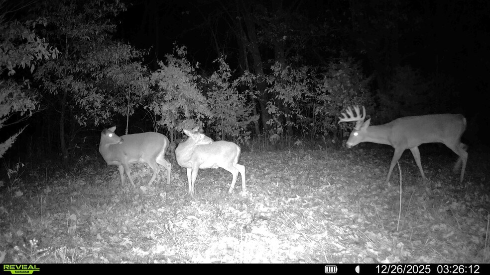 More Photos Of Pike 49 (12+/- Acres), Frankford Land For Sale