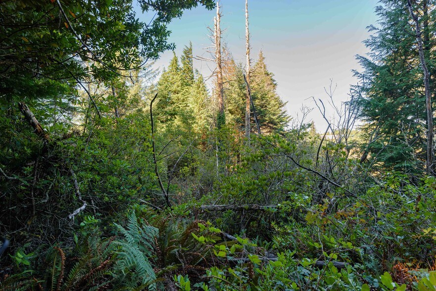 More Photos Of 0 Newmark ave, North Bend Land For Sale
