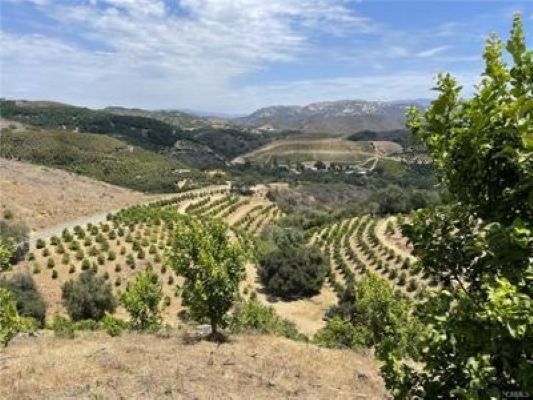 More Photos Of 0 Avenida Tierra, Temecula Land For Sale