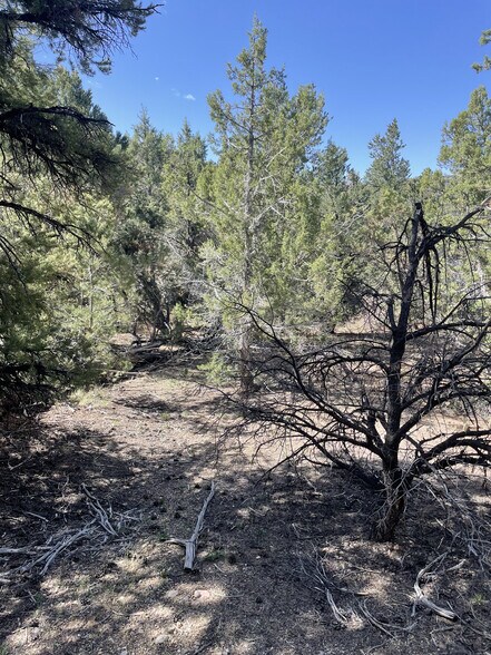 More Photos Of East Highway 89, Indianola Land For Sale