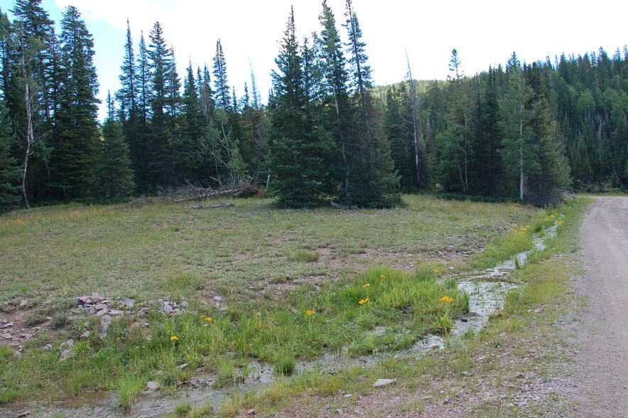 More Photos Of Lake Beaver E, Beaver Land For Sale