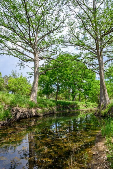 More Photos Of 114 Bledsoe Ranch Road, Center Point Land For Sale