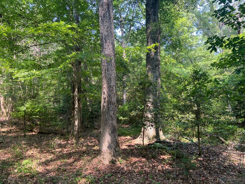 More Photos Of Terry Shop Rd, Fountain Inn Land For Sale