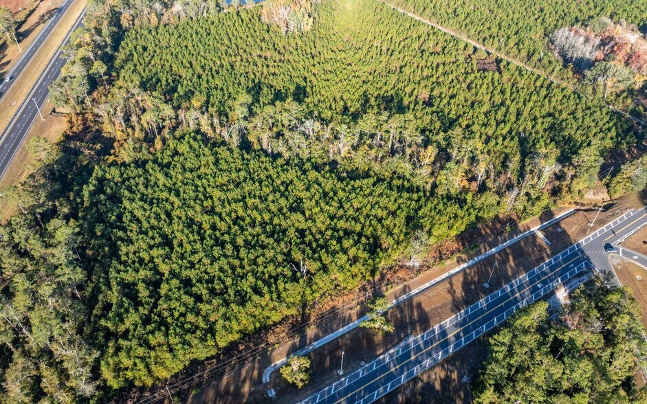 More Photos Of CR 137, Wellborn Land For Sale