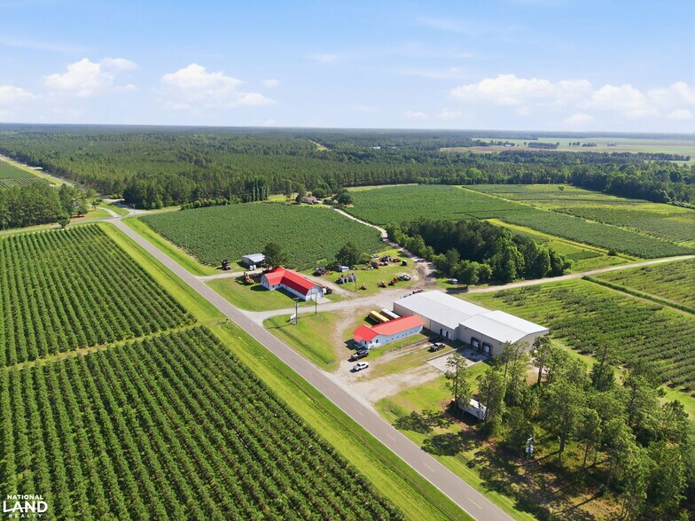More Photos Of 5478 Halfway Branch School rd, Ivanhoe Land For Sale
