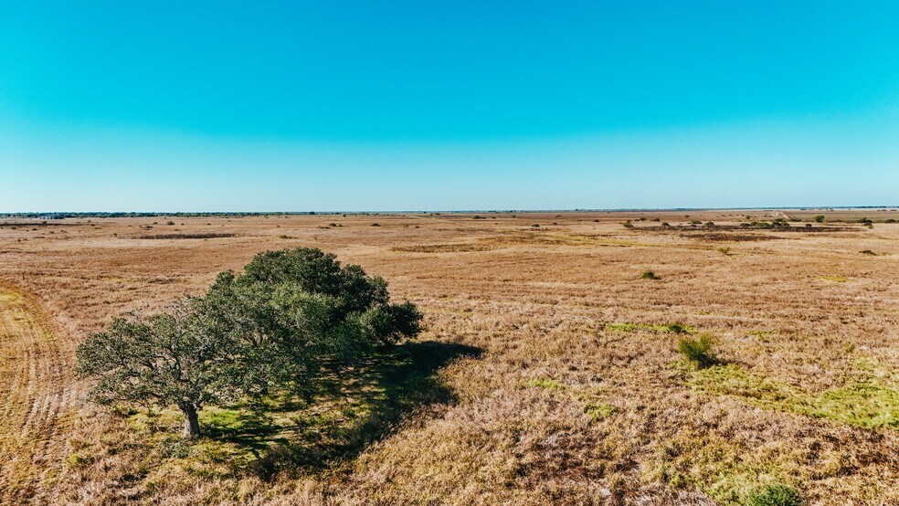 More Photos Of 5509 FM 444, Inez Land For Sale