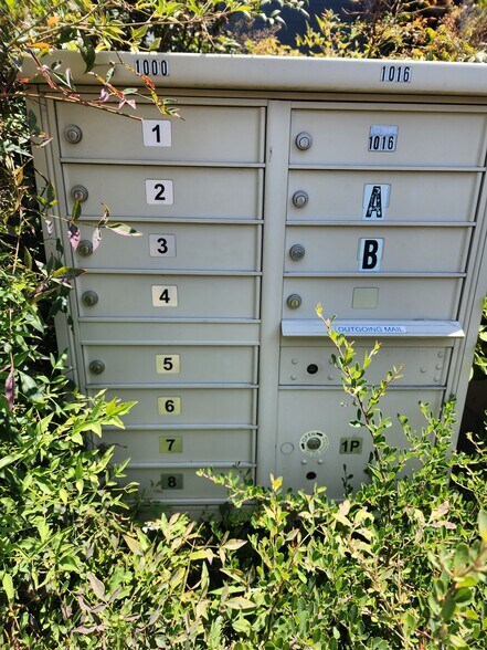 More Photos Of 1242 4th St, San Rafael Apartments For Sale