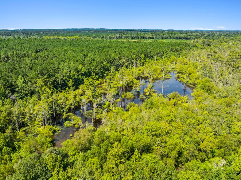 More Photos Of 7471 Highway 155, Saline Land For Sale