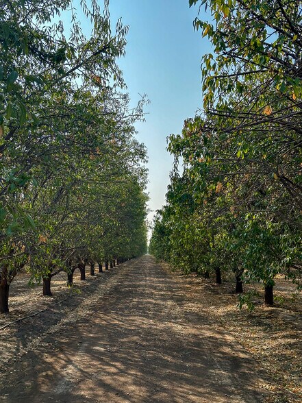 Primary Photo Of Bear Mountain Blvd. @ Malaga Rd., Arvin Land For Sale