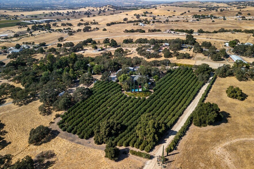 More Photos Of 2985 Templeton Rd, Templeton Winery Vineyard For Sale