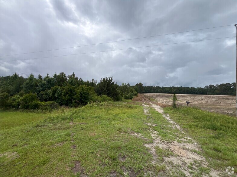 Primary Photo Of TBD Highway 905, Conway Land For Sale