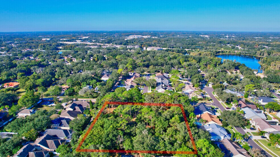 More Photos Of 6501 Gant Rd, Tampa Land For Sale