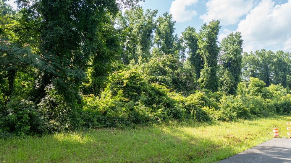More Photos Of 0 Roosevelt Hwy, Warm Springs Land For Sale