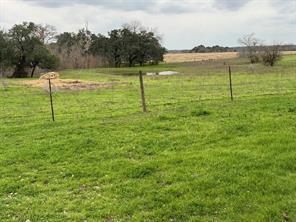 More Photos Of 1408 State Park Rd, Lockhart Land For Sale
