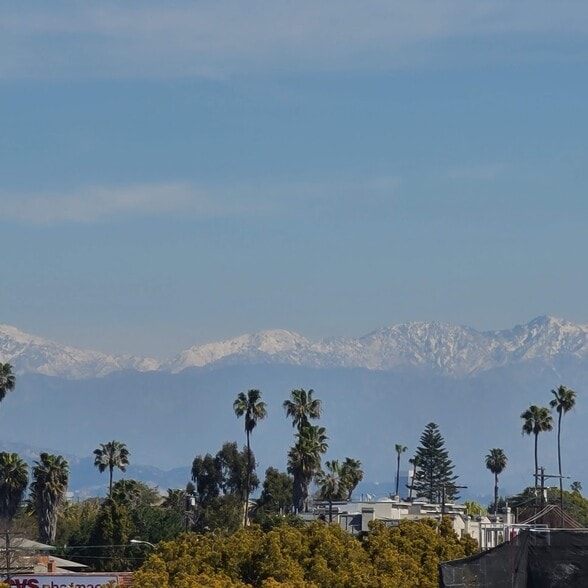 More Photos Of 12610 Venice Blvd, Los Angeles Apartments For Sale