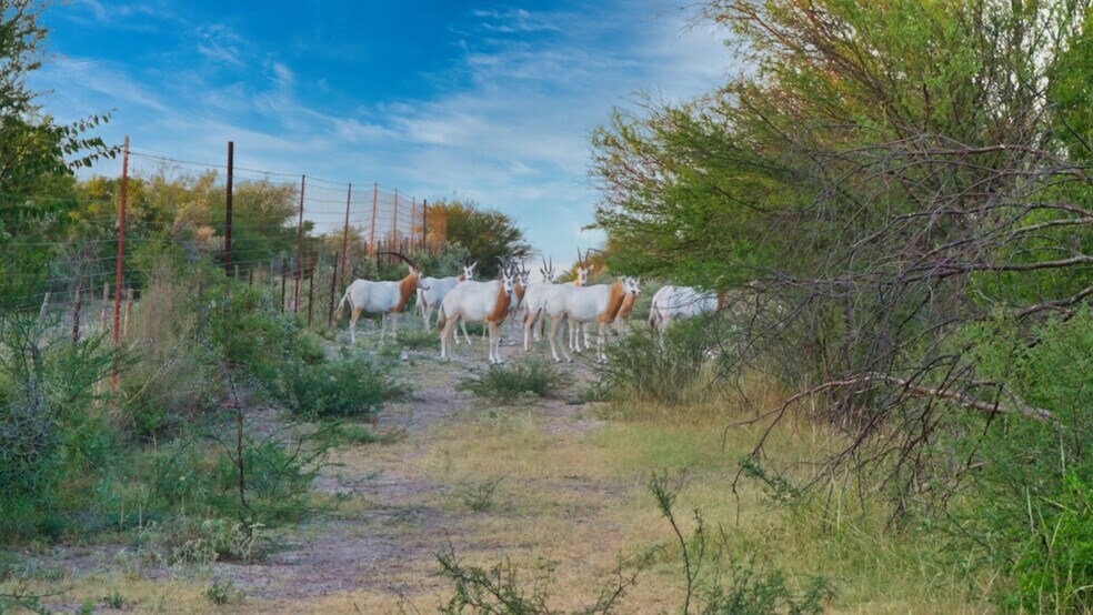 More Photos Of 000 Ranch to Market 3008, Brackettville Land For Sale