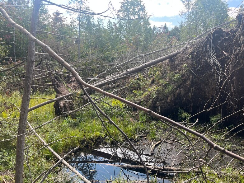 More Photos Of US Highway 141, Wausaukee Land For Sale