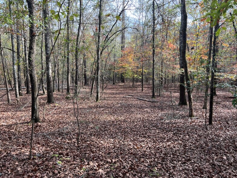 More Photos Of 0 Dickson Dr, Danielsville Land For Sale