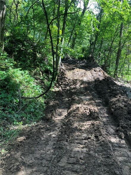 More Photos Of N3953 Bear Pen Rd, Arkansaw Land For Sale