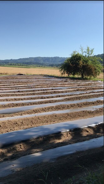 More Photos Of NW Sauvie Island Rd @ NW reeder rd, Portland Land For Lease