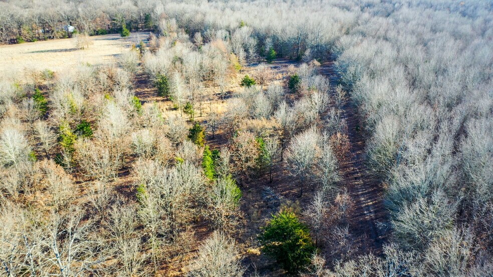 More Photos Of 1200 County 1255 rd, Detroit Land For Sale