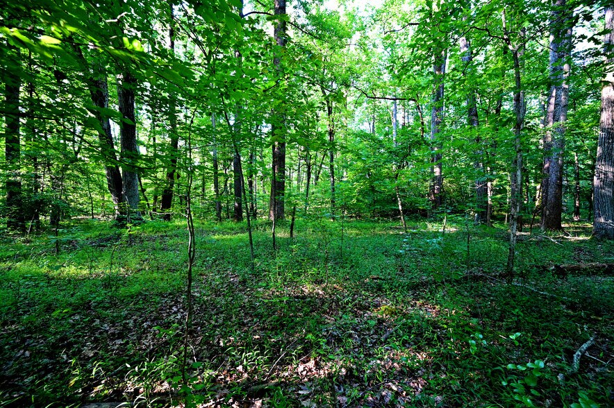 More Photos Of Richard Allen St, Aquasco Land For Sale