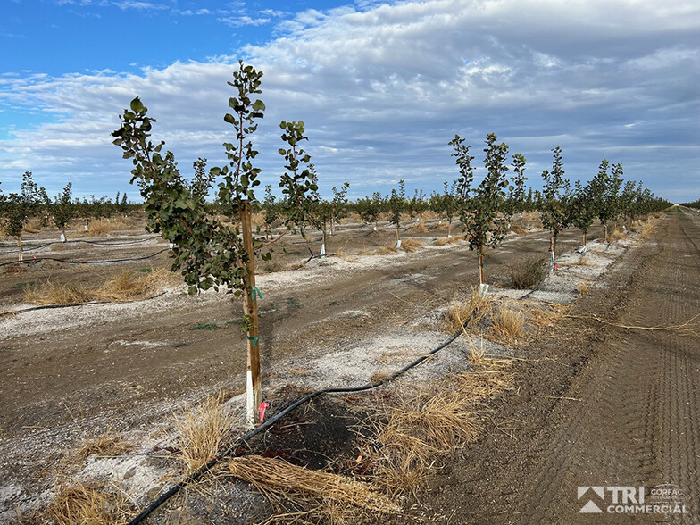 Primary Photo Of 0 County Road 89, Winters Land For Sale