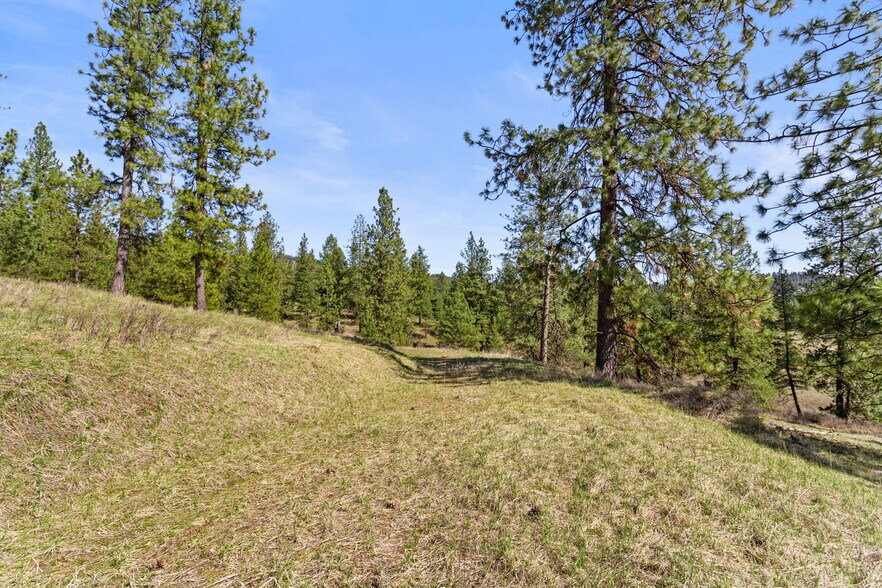 More Photos Of 15809 N Scribner Branch Rd, Spokane Land For Sale