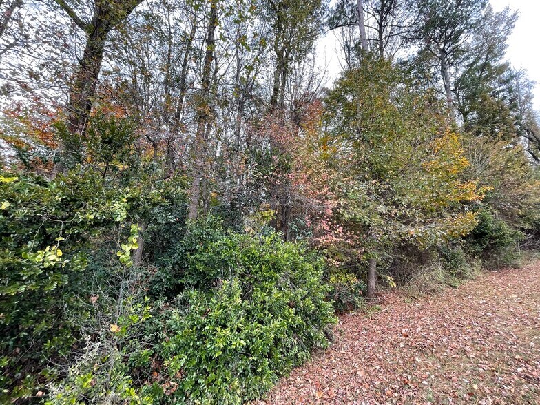 More Photos Of 4446 Glenwood Rd, Decatur Land For Sale