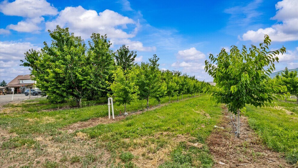 More Photos Of 20809 Nowhere Rd, Eckert Land For Sale