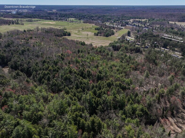 More Photos Of 190 Santas Village Road, Bracebridge Land For Sale