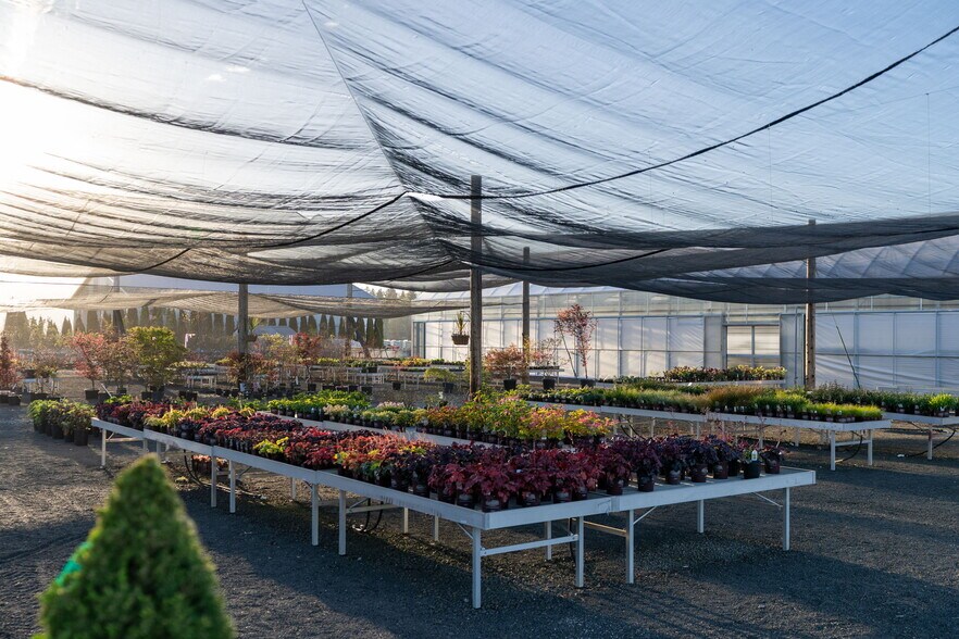 More Photos Of 1355 N Barlow St, Cornelius Winery Vineyard For Sale