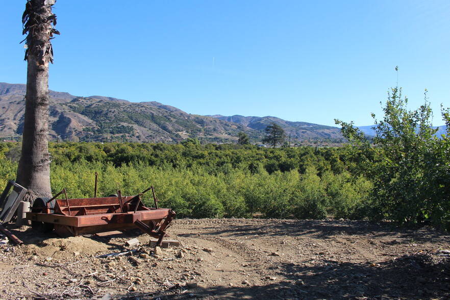 Primary Photo Of 1100 Cliff Ave, Fillmore Land For Sale