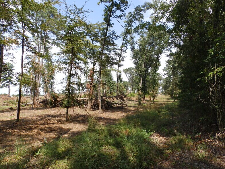 More Photos Of 16393 Highway 31, Tyler Land For Sale
