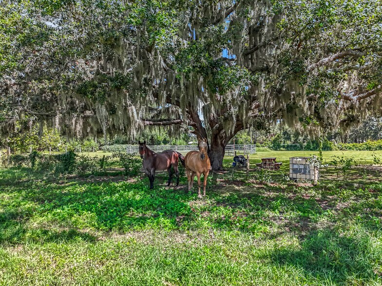 More Photos Of 41204 Emeralda Island Rd, Leesburg Land For Sale