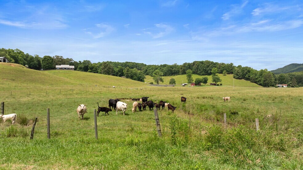 More Photos Of 102 Cross Creek Ln, Warne Land For Sale