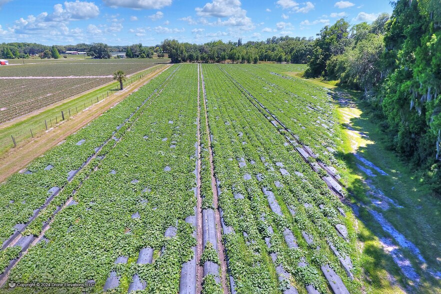 More Photos Of 5625 Stafford Rd, Plant City Land For Sale