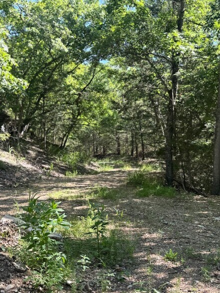 More Photos Of 190 Edgewater Dr, Eureka Springs Land For Sale